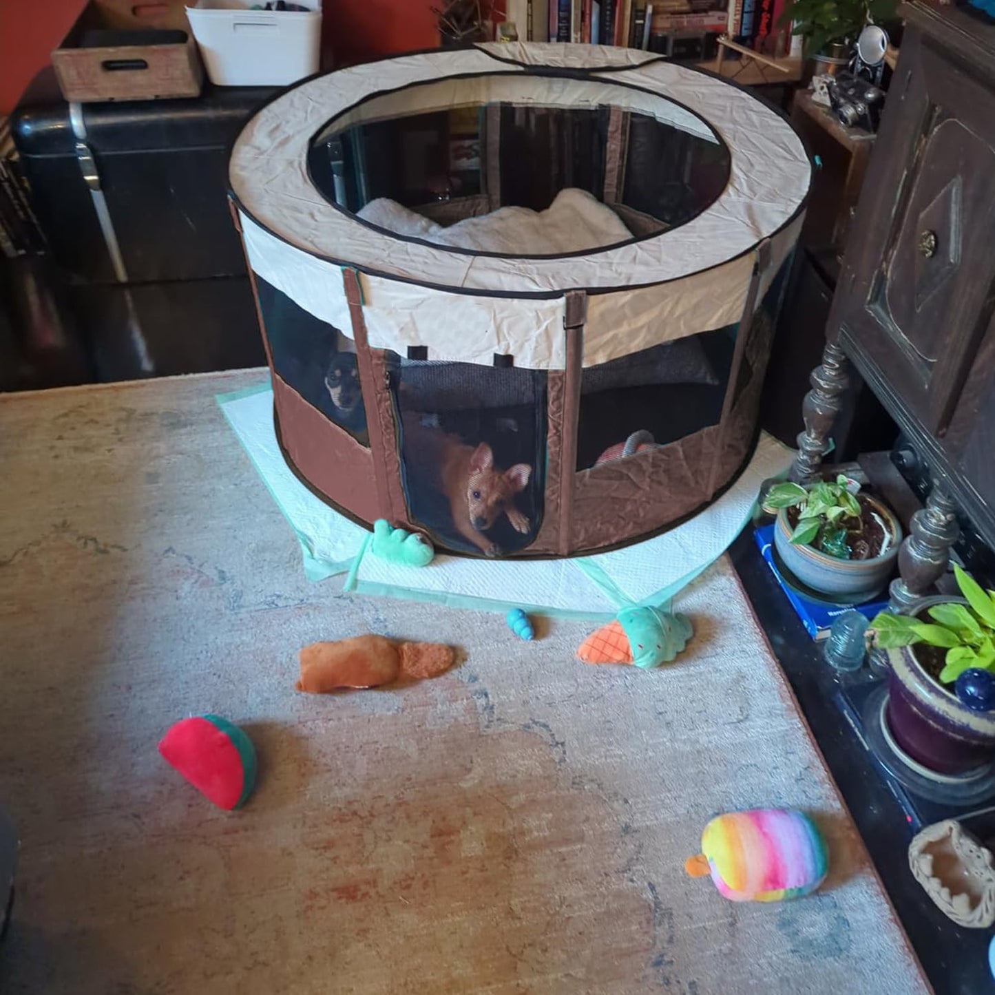 Extra Large Pet Playpen Cat Playpen Dog Playpen Puppy Playpen Indooor Cat Cage Dog Fence, Dinosam 44" Diameter 22" Height Cat Tent Playpen for Indoor Cats Pen for Cat Puppy Rabbit