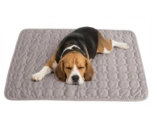 Dog Crate Mat,30 x 20 inch Washable Dog Bed Mat for Crate Mats for Dog Cage Mat Dog Kennel Pad Dog Kennel Mat Dog Crate Liner Dog Beds for Large Dog