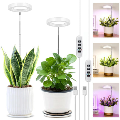 Grow Light for Indoor Plants Growing,Full Spectrum Halo Plant Lamp for Seedlings Succulents Small Mini Plants, 3 Colors Spectrum Changeable & Auto On Off Timer 3/9/12Hrs (2 Pack)