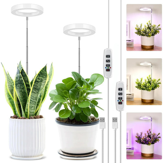 Grow Light for Indoor Plants Growing,Full Spectrum Halo Plant Lamp for Seedlings Succulents Small Mini Plants, 3 Colors Spectrum Changeable & Auto On Off Timer 3/9/12Hrs (2 Pack)