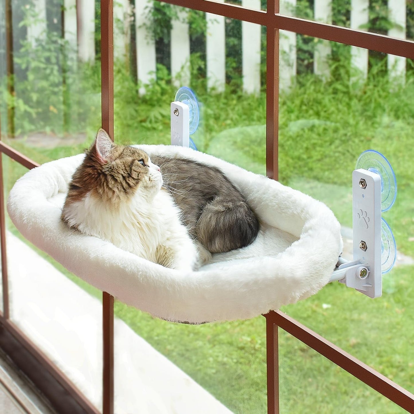 Cat Window Perch, Window Cat Hammock with Wood Frame for Large Cats, Dinosam Adjustable Cat Window Bed Cat Window Seat Cat Shelves for Indoor Cats for Windowsill, Bedside, Drawer and Cabinet