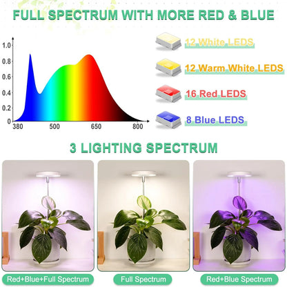Grow Light for Indoor Plants Growing,Full Spectrum Halo Plant Lamp for Seedlings Succulents Small Mini Plants, 3 Colors Spectrum Changeable & Auto On Off Timer 3/9/12Hrs (2 Pack)