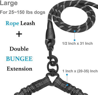 Double Dog Leash for 2 Dogs, Dual Dog Training Leash, Dinosam 360 Swivel No Tangle Walking Two Dog Leash for Dog Training, Shock Absorbing Bungee Double Leash for 2 Dogs, Black (25-150 lbs)
