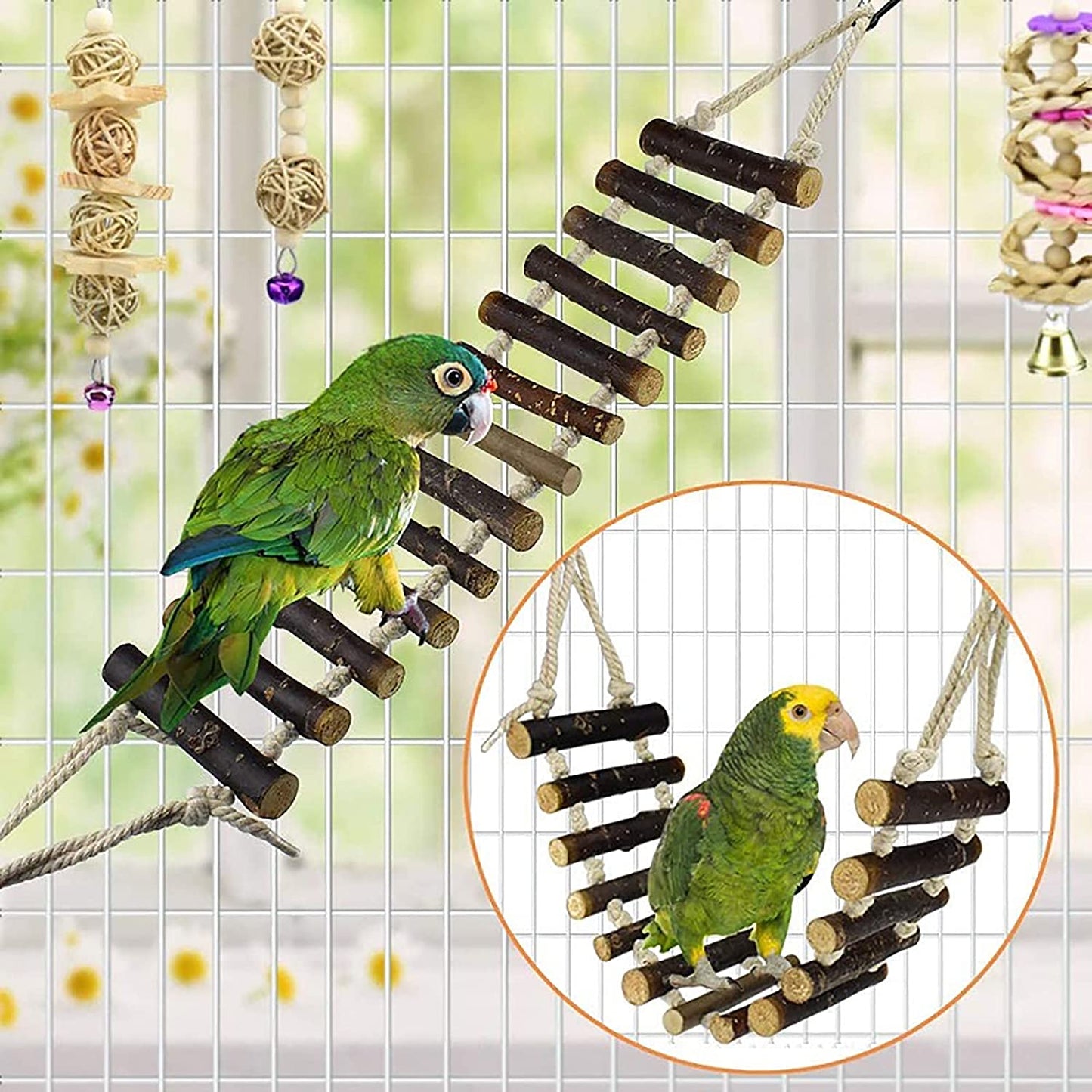 8 Pack Bird Toys for Parakeet Toys for Bird Cage Accessories Parakeets Swing Chewing Toys, Dinosam Wooden Bird Toys for Cage Parrots Toys, Bird Training Toys, Parrot Hanging Swing