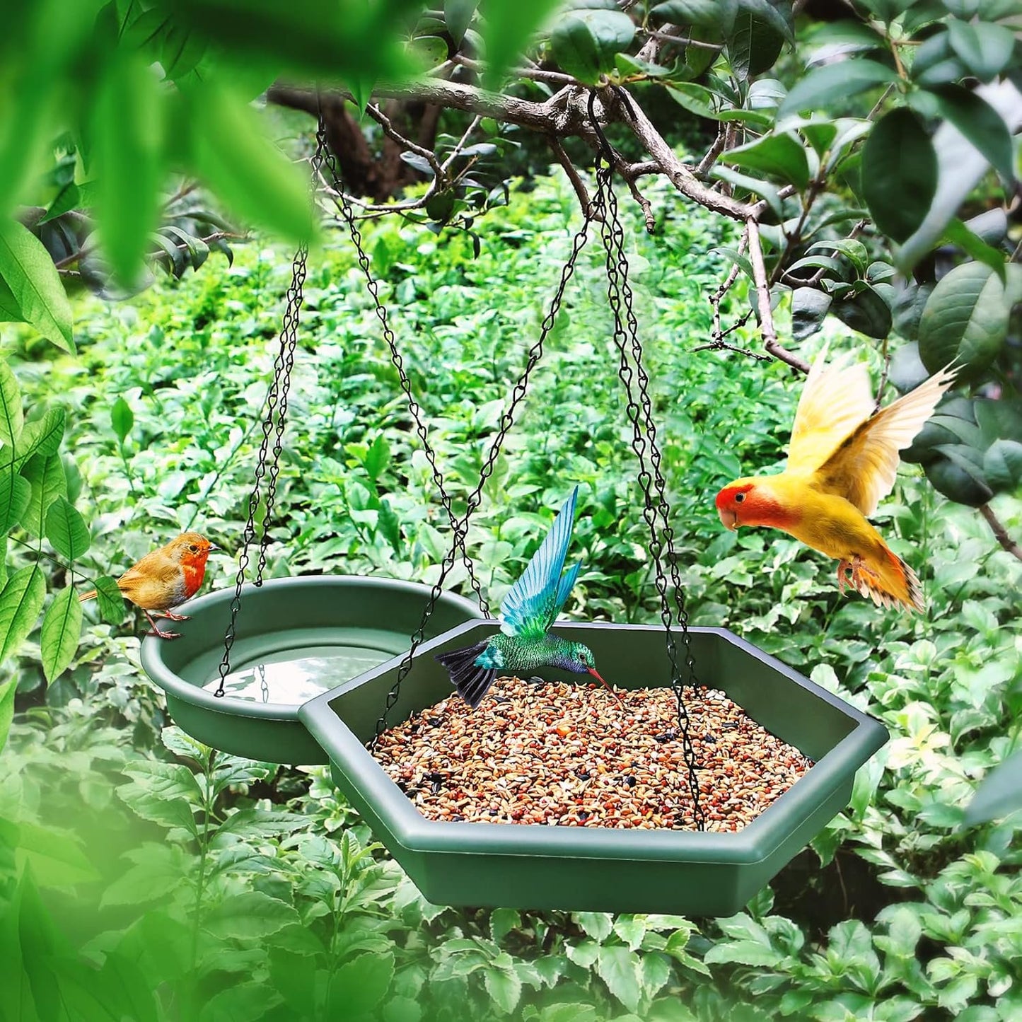 Hanging Bird Bath Hanging Bird Feeder, Bird Feeder, 2 in 1 Hanging Bird Feeder & Bird Bath for Outside, Hanging Bird Baths for Outdoors, Hanging Bird Feeder Tray (Green)