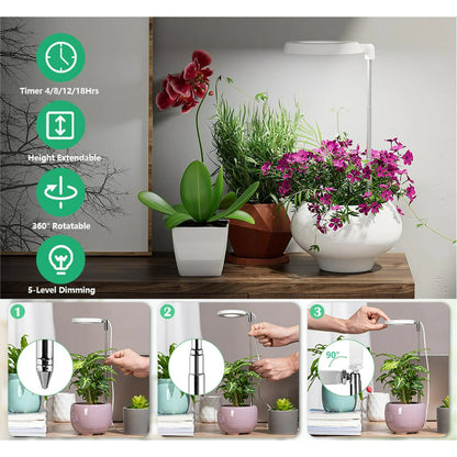 Grow Light for Indoor Plants Growing,Full Spectrum Halo Plant Lamp for Seedlings Succulents Small Mini Plants, 3 Colors Spectrum Changeable & Auto On Off Timer 3/9/12Hrs (2 Pack)