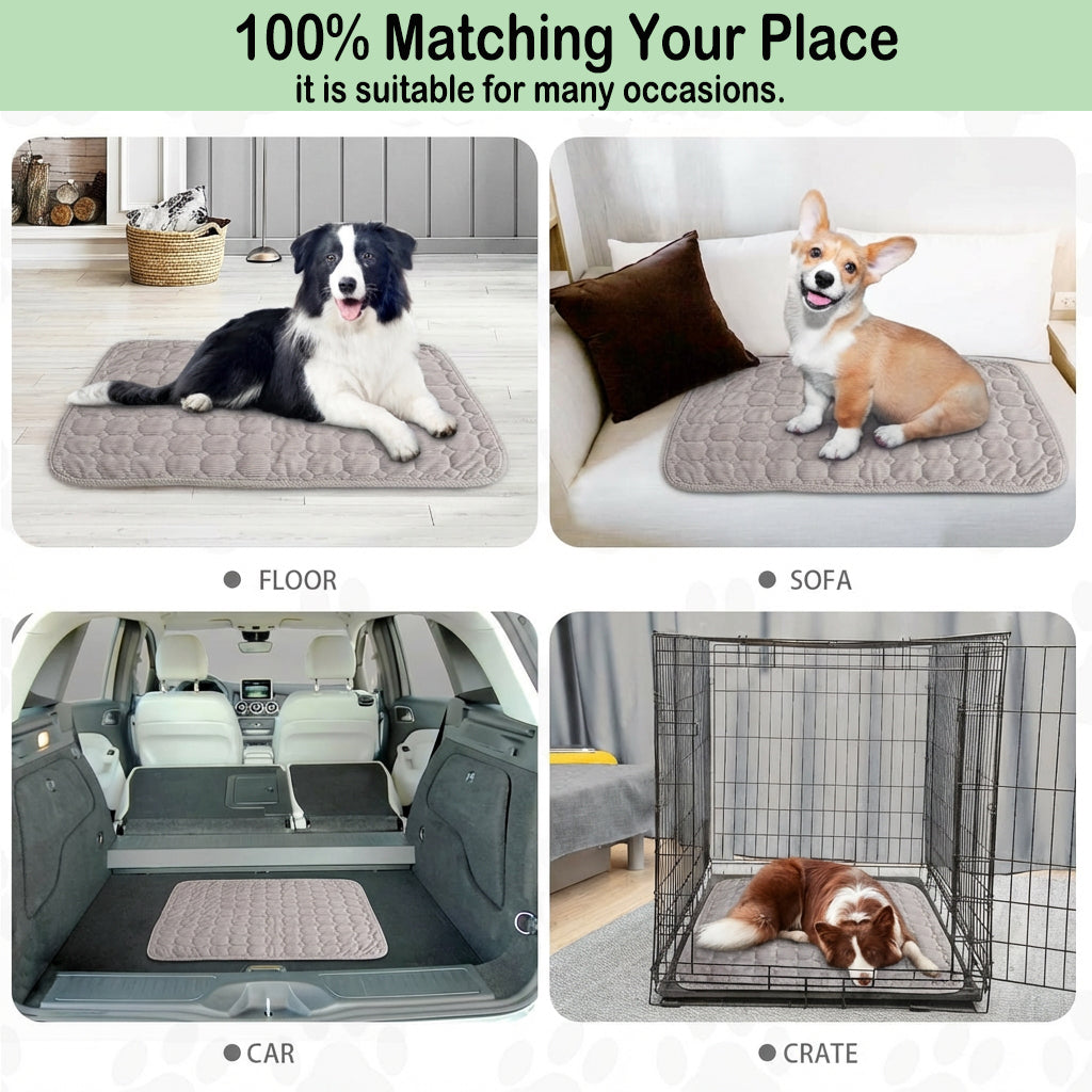 Dog Crate Mat,30 x 20 inch Washable Dog Bed Mat for Crate Mats for Dog Cage Mat Dog Kennel Pad Dog Kennel Mat Dog Crate Liner Dog Beds for Large Dog