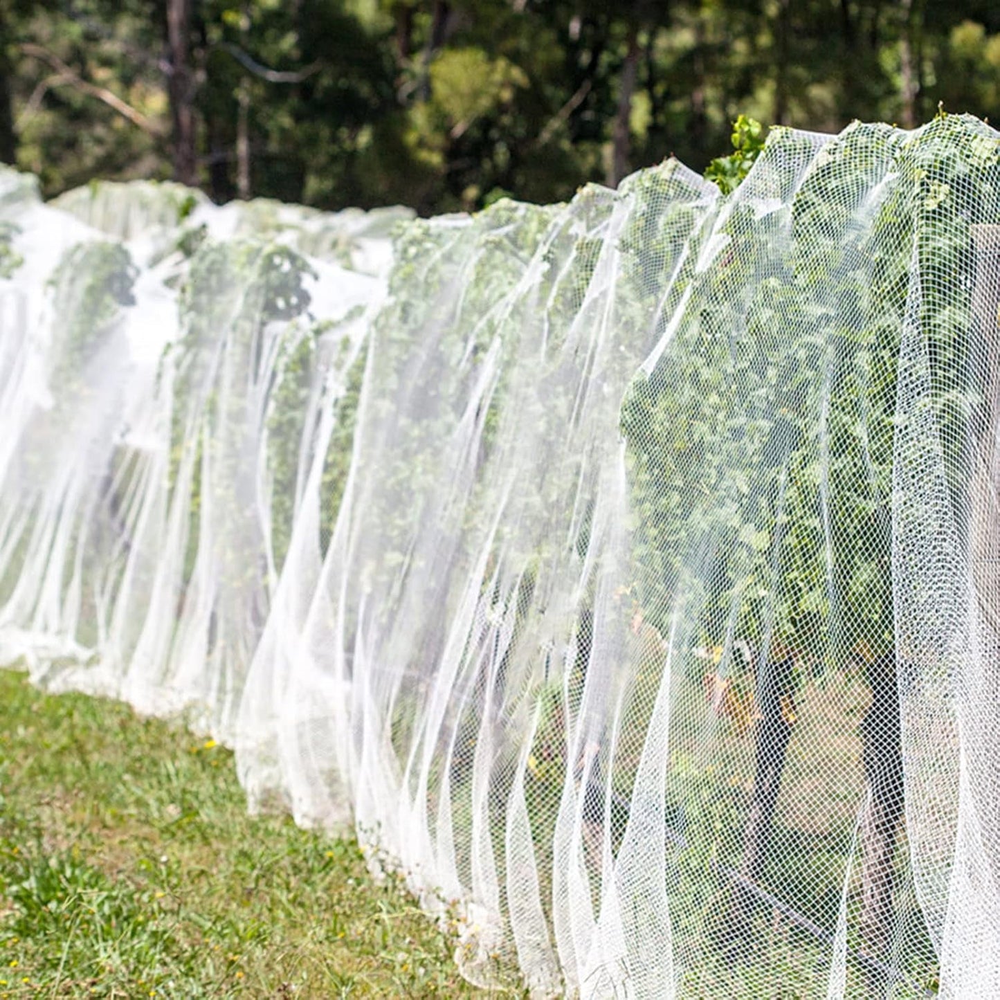 Bird Netting Garden Netting for Raised Beds 10 x 33ft Plant Netting for Gardeng Fruit Tree Netting Protective Circles for Vegetables Fruits Flowers Trees Crops to Grow Better