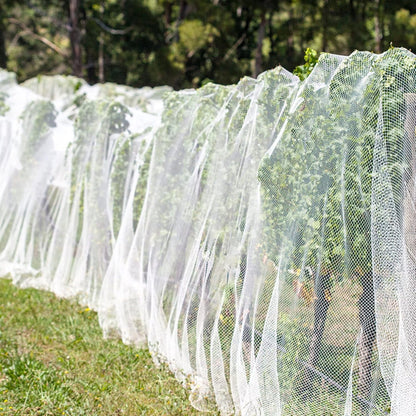 Bird Netting Garden Netting for Raised Beds 10 x 33ft Plant Netting for Gardeng Fruit Tree Netting Protective Circles for Vegetables Fruits Flowers Trees Crops to Grow Better