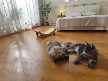 Cat Scratching Board for Large Cat Scratcher Cardboard Cat Scratcher for Indoor Cats,5PCS Reversible Cat Scratch Pads with Cat Cardboard Scratcher Box