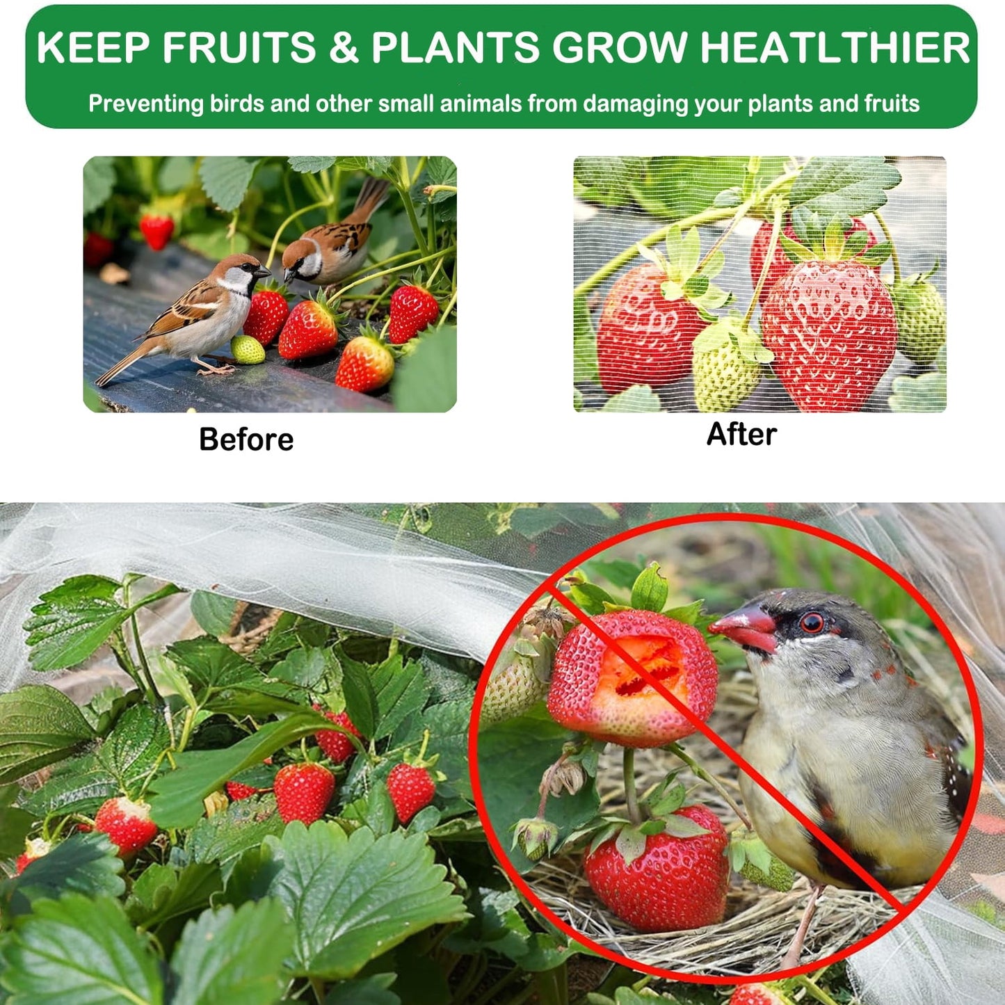 Bird Netting Garden Netting for Raised Beds 10 x 33ft Plant Netting for Gardeng Fruit Tree Netting Protective Circles for Vegetables Fruits Flowers Trees Crops to Grow Better