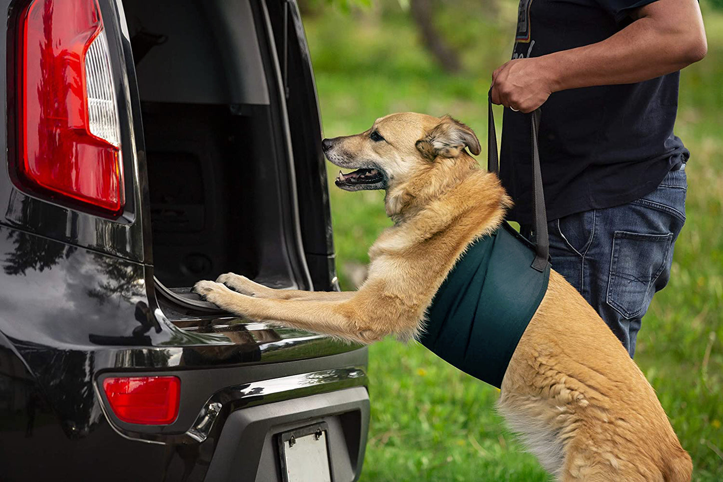 Large Dog Sling, Dog Harness with Handle, Dog Lift Harness for Rear Legs Help Support, Disabled,Joint Injuries,Arthritis,Paralysis Dogs Walk,Dog Lifter ACL Rehabilitation Rehab,7.5" x 24"