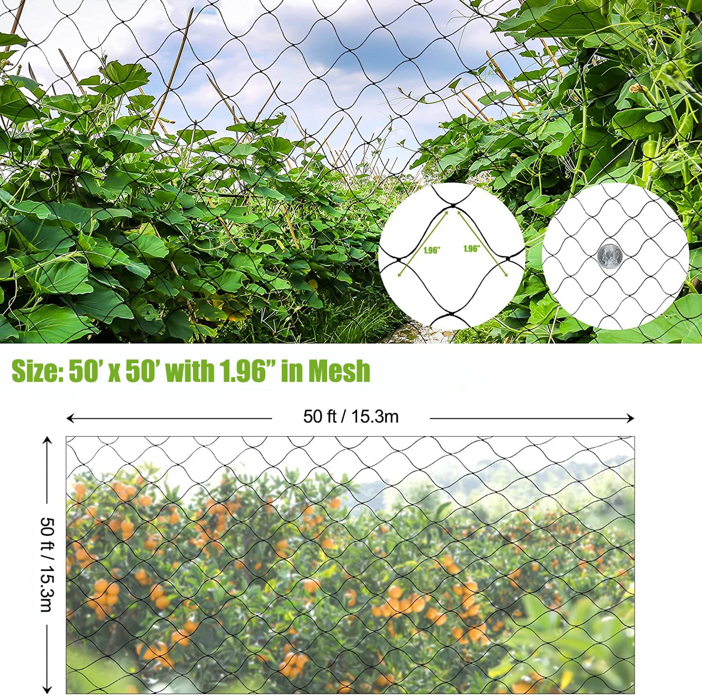 33 x 50 ft Garden Netting with 1.96 in Square Mesh,Reusable Bird Netting for Chicken wire Coop,FifthQuarter Nylon Poultry Net Deer Fence for Protecting Vegetables Fruit Tree from Birds Squirrel,Black