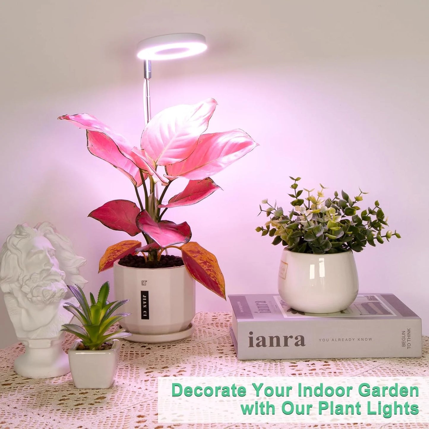 Grow Light for Indoor Plants Growing,Full Spectrum Halo Plant Lamp for Seedlings Succulents Small Mini Plants, 3 Colors Spectrum Changeable & Auto On Off Timer 3/9/12Hrs (2 Pack)
