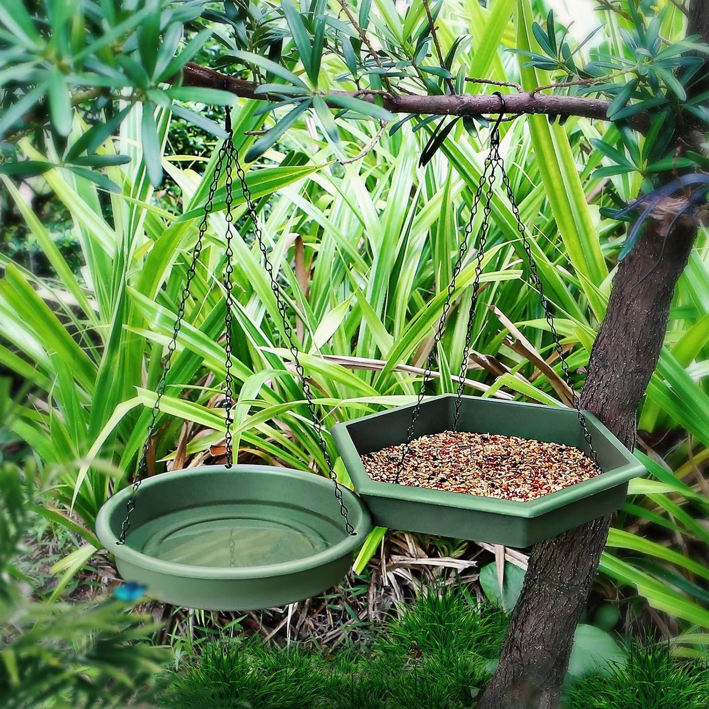 Hanging Bird Bath Hanging Bird Feeder, Bird Feeder, 2 in 1 Hanging Bird Feeder & Bird Bath for Outside, Hanging Bird Baths for Outdoors, Hanging Bird Feeder Tray (Green)
