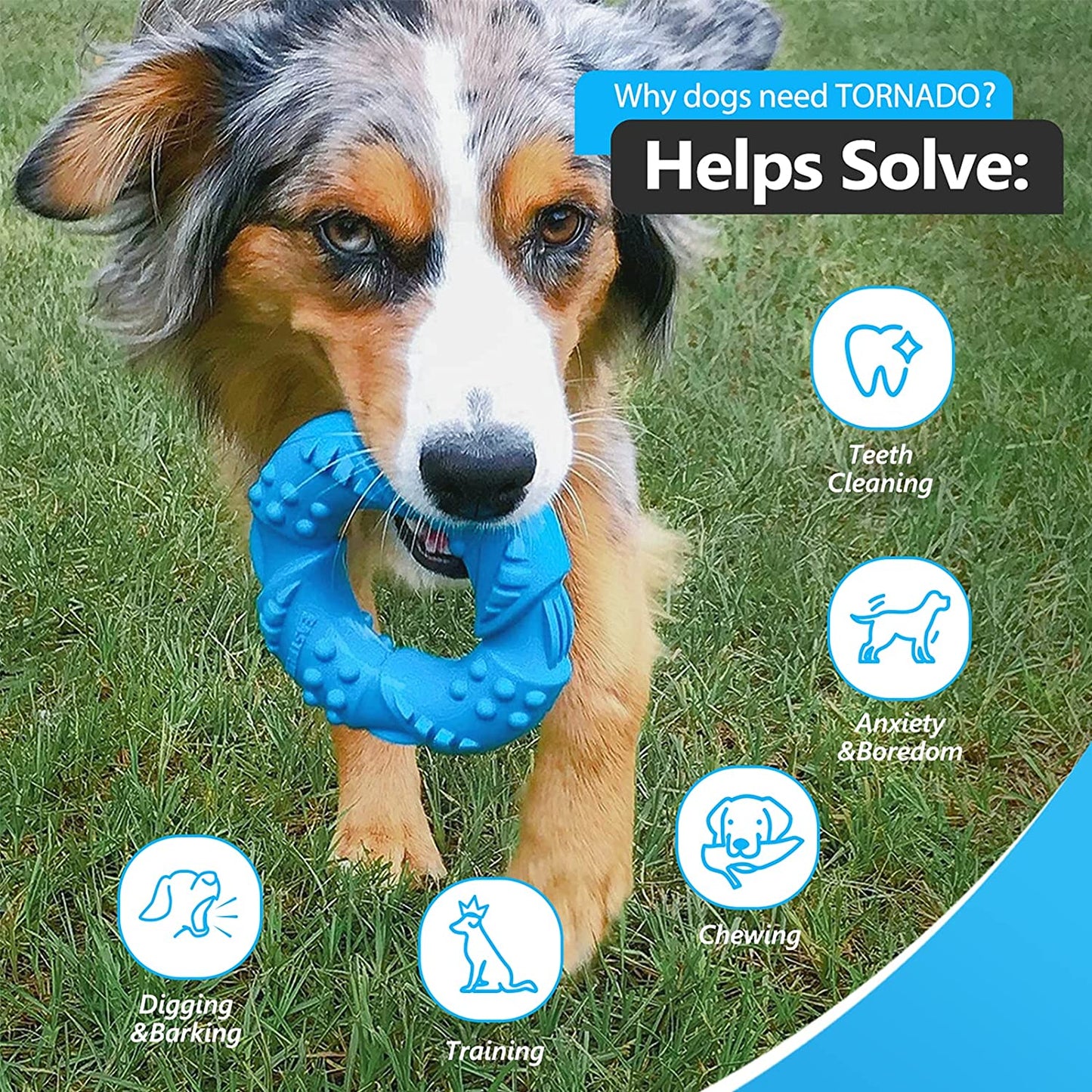 Dog Toys for Aggressive Chewers Dog Toy Interactive Dog Toys for Large Dog Chew Toys for Aggressive Chewers,Dinosam Indestructible Dog Toy for Medium Large Dogs, Blue