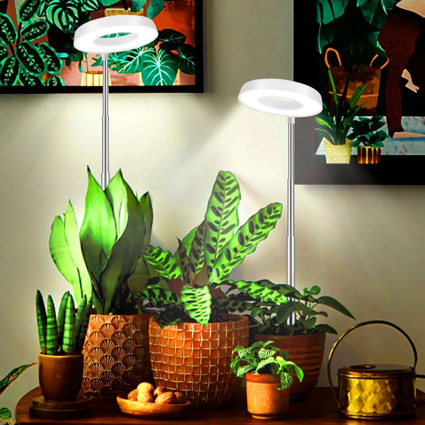 Grow Light for Indoor Plants Growing,Full Spectrum Halo Plant Lamp for Seedlings Succulents Small Mini Plants, 3 Colors Spectrum Changeable & Auto On Off Timer 3/9/12Hrs (2 Pack)