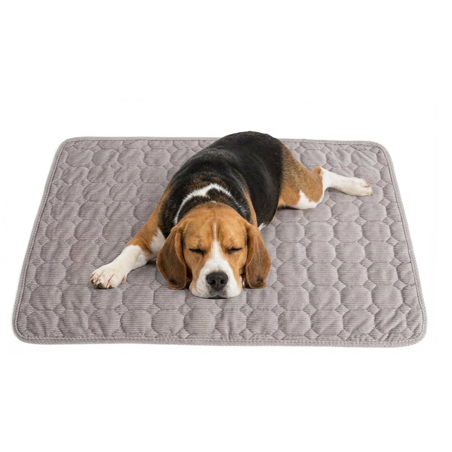 Dog Crate Mat,24 x 18 inch Washable Dog Bed Mat for Crate Mats for Dog Cage Mat Dog Kennel Pad Dog Kennel Mat Dog Crate Liner Dog Beds for Large Dog