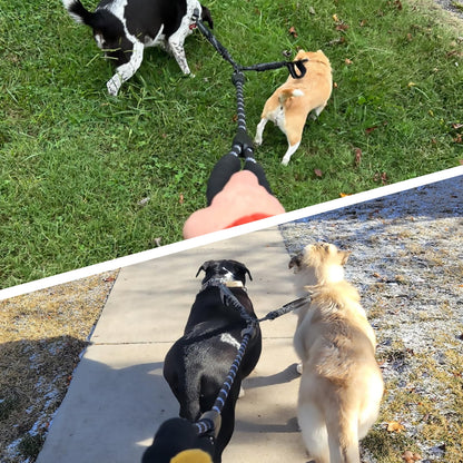 Double Dog Leash with Two Extra Handles, 360 Swivel No Tangle Dual Dog Walking Leash, Comfortable Shock Absorbing Reflective Bungee for Two Dogs (18~120 lbs, Black)